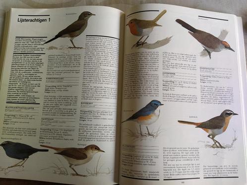 boek: de wereld van de vogels (Spectrum natuurgids), Boeken, Natuur, Zo goed als nieuw, Vogels, Verzenden