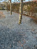 Blauwe steen kiezel, Enlèvement, Gravier