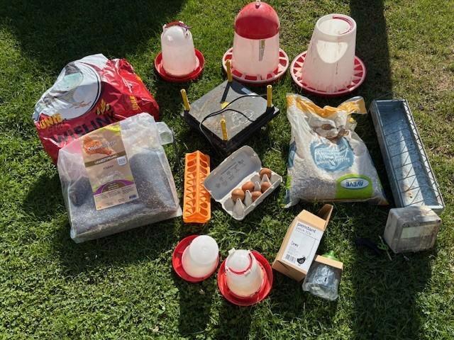 Volledige kippen uitzet met warmteplaat voor kuikens, Animaux & Accessoires, Volatiles | Accessoires, Utilisé, Autres types, Enlèvement