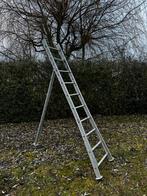 Solide driepoot pluk/snoei/tuinladder - 10 sporten, Ophalen, Zo goed als nieuw, Ladder