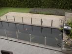 Koi's en steuren, Dieren en Toebehoren, Karper of Koi