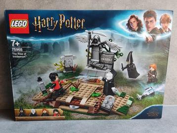lego harry potter 75965 de opkomst van voldemort beschikbaar voor biedingen