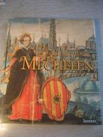 De geschiedenis van Mechelen, Enlèvement ou Envoi