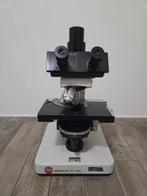 Leitz Wetzlar Dialux 20 EB, Ophalen of Verzenden, Gebruikt, 400x tot 1000x, Biologische microscoop