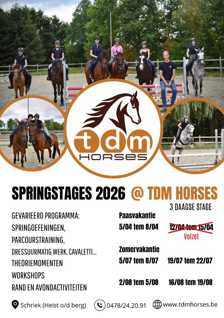 Springstages TDM horses, Dieren en Toebehoren, Paarden