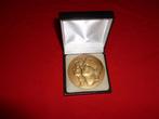 Bronzen Medaille Koning Albert en Paola, Collections, Maisons royales & Noblesse, Comme neuf, Autres types, Enlèvement ou Envoi