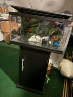 Aquaruim met kast, Ophalen, Zo goed als nieuw