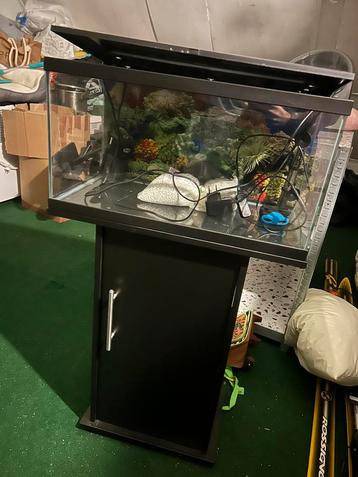 Aquaruim met kast beschikbaar voor biedingen