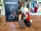 Kaws sitting dissected companion 25cm hoog in doos art toy, Ophalen of Verzenden