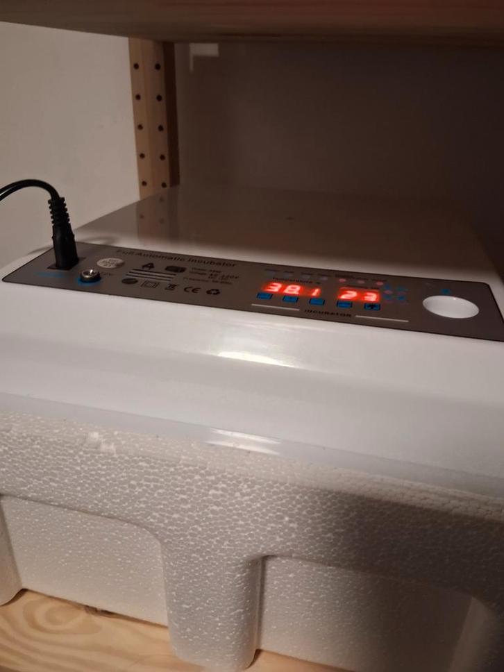 Incubateur, Animaux & Accessoires, Volatiles | Accessoires, Comme neuf, Couveuse, Enlèvement ou Envoi