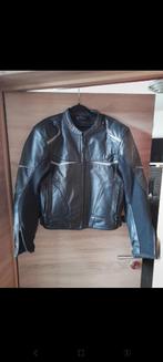 Veste blouson moto femme cuir, Neuf, sans ticket, Femmes, Manteau | cuir, Probiker