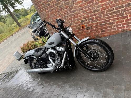 Street Bob 05/2025, Motoren, Motoren | Harley-Davidson, Particulier, Chopper, meer dan 35 kW, 2 cilinders, Ophalen