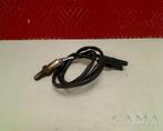 LAMBDASONDE BMW K 1600 GT + GTL (K1600GT K1600GTL K48), Gebruikt