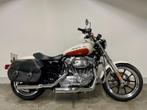 Harley-Davidson SPORTSTER XL883L SUPER LOW (bj 2011), Motoren, 883 cc, Meer dan 35 kW, Overig