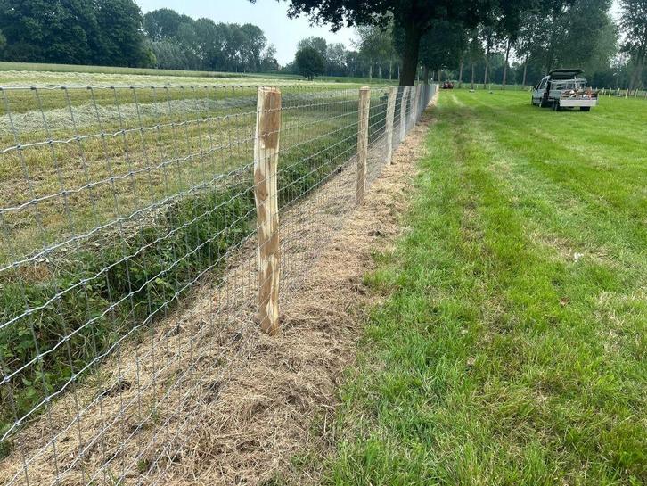 Acacia Palen 2m – Robuust & Natuurlijk, Dieren en Toebehoren, Stalling en Weidegang, Stalling
