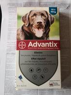 Antipuce pour gros chien 25 à 40kg, Nieuw, Ophalen of Verzenden