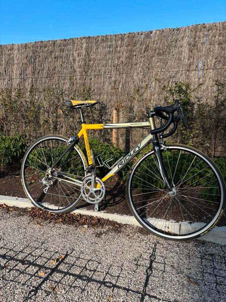 Vélo de course RIDLEY Boreas + Campagnolo, Vélos & Vélomoteurs, Vélos | Vélos de course, Utilisé, Enlèvement