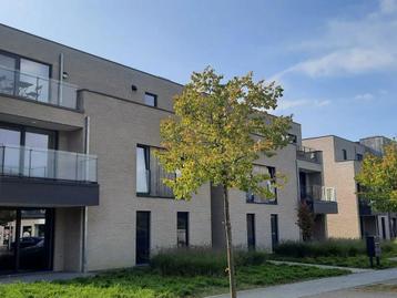 Appartement te huur in Niel-Bij-As, 2 slpks