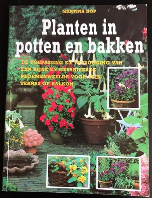 PLANTEN IN POTTEN EN BAKKEN, Livres, Maison & Jardinage, Comme neuf, Jardinage et Plantes de jardin, Enlèvement ou Envoi