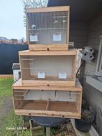 Vogel kooien, Dieren en Toebehoren, Ophalen