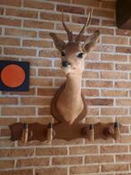 Hertekop met kapstok (pootjes), Ophalen