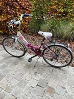 Meisjesfiets 22 inch, Fietsen en Brommers, Ophalen, 22 inch, Gebruikt, Handrem