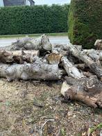 hout voor zachte prijs, Tuin en Terras, Ophalen, Gebruikt
