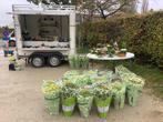 Dubbelassige geremde aanhangwagen 2 x 750 kg, Ophalen, Zo goed als nieuw