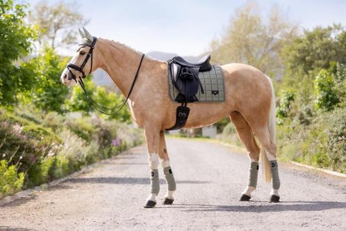 LeMieux Loire dressuur dekje Fern full SALE!, Dieren en Toebehoren, Paarden en Pony's | Dekens en Dekjes, Nieuw, Dekje, Ophalen of Verzenden