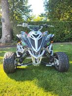Yamaha raptor 700r, Motoren