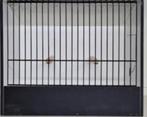 TT kooien te koop, nieuw. Prijs 20 € per stuk., Dieren en Toebehoren