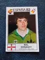 panini sticker WK 82 nr 335, Ophalen of Verzenden, Nieuw, Sticker