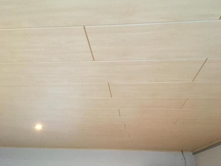 Plafond planchetten, lichte kleur beige., Doe-het-zelf en Bouw, Platen en Panelen, Gebruikt, Hout, Minder dan 20 mm, Ophalen