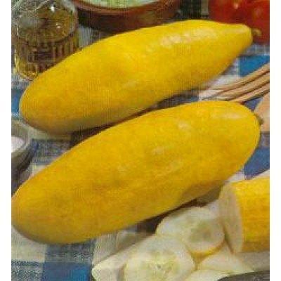 Grappe jaune - Graines de concombre, Jardin & Terrasse, Bulbes & Semences, Envoi