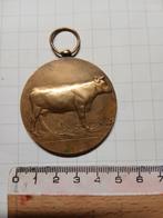 Penning/medaille koe 1964, Ophalen of Verzenden, Brons