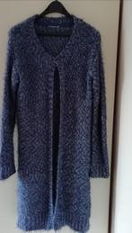 vest, Gedragen, Blauw, Maat 38/40 (M), Onbekend