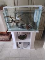 Beginners aquarium met buiten pomp, Dieren en Toebehoren, Ophalen of Verzenden, Zo goed als nieuw