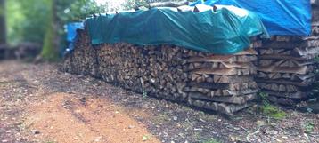 Bois de chauffage  beschikbaar voor biedingen