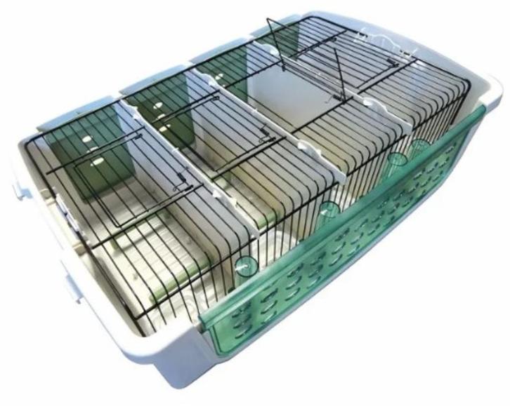 Transportbox, Dieren en Toebehoren, Vogels | Toebehoren, Zo goed als nieuw, Ophalen