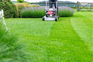 Hovenier/Tuinman beschikbaar voor biedingen