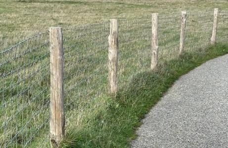 POTEAUX EN ROBINIER ACCACIA, Jardin & Terrasse, Poteaux, Poutres & Planches, Neuf, Poteaux, Bois dur, Enlèvement ou Envoi