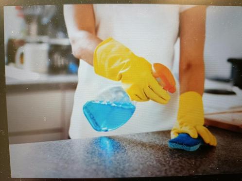 Huishoudhulp, Diensten en Vakmensen, Huishoudhulp, Schoonmaken, Strijken, Wassen