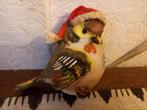 Beeldje kerstvogel, Diversen, Kerst, Ophalen