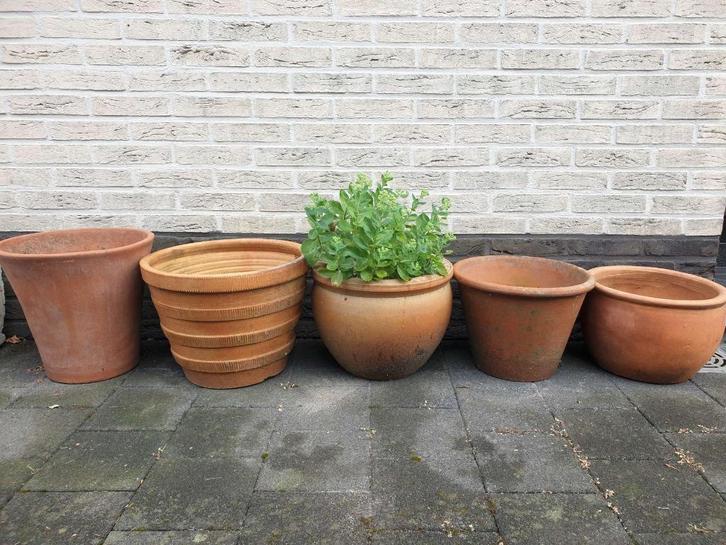 5x bruine terracotta pot bloempot pot voor tuin terras mooi!, Tuin en Terras, Bloempotten, Terracotta, Tuin, Ophalen