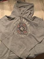 Hollister hoodie (M), Kleding | Dames, Truien en Vesten, Maat 38/40 (M), Zo goed als nieuw, Ophalen