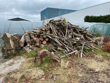 bois de chauffage, 6 m³ ou plus, Enlèvement, Troncs d'arbres