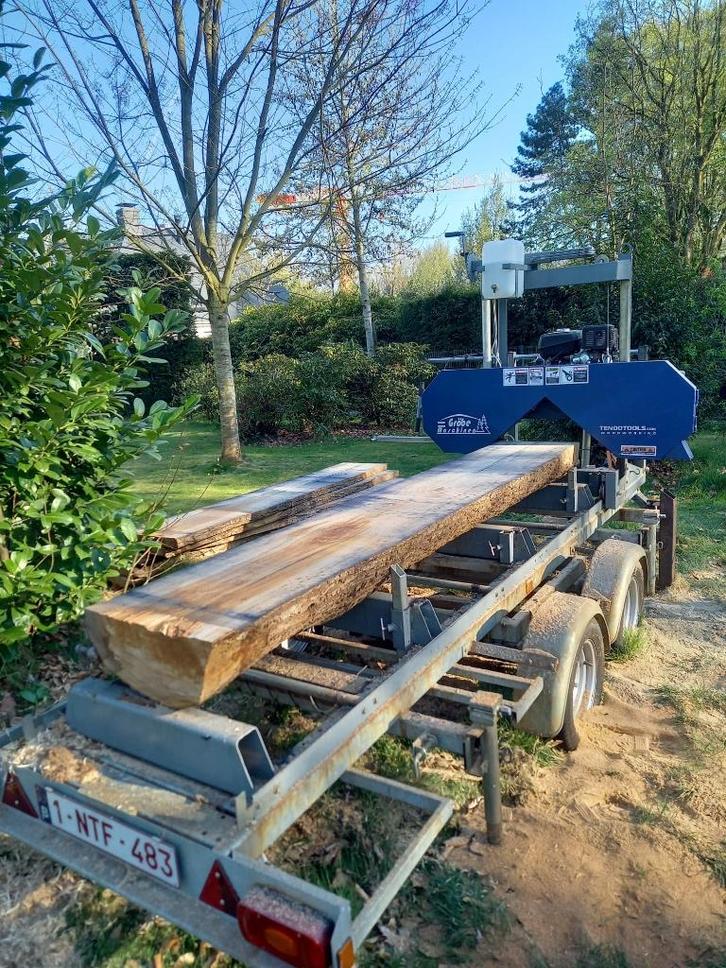 Mobiele motorzaag, Doe-het-zelf en Bouw, Gereedschap | Zaagmachines, Zo goed als nieuw, Lintzaag, Ophalen