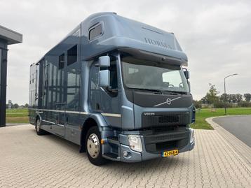 Volvo ROELOFSEN Paardenvrachtwagen living paardencamionette  beschikbaar voor biedingen