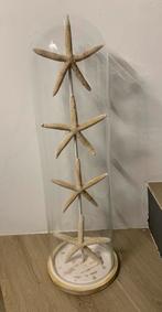 Globe verre étoile de mer, Enlèvement, Comme neuf