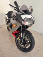 Aprilia RSV1000 R, Plus de 35 kW, 2 cylindres, 1000 cm³, Sport